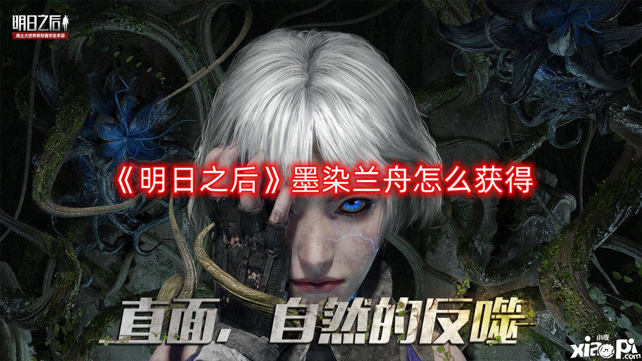 《嫡之后》墨染兰舟怎么得到