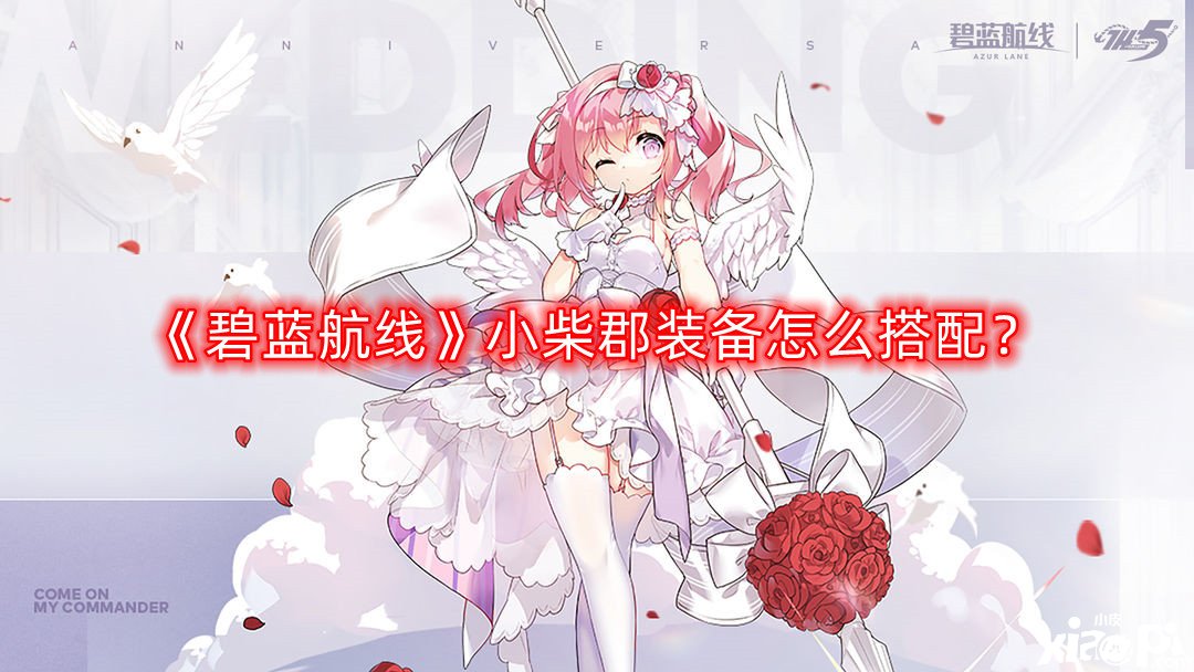 《碧蓝航线》小柴郡装备怎么搭配？小柴郡装备搭配推荐
