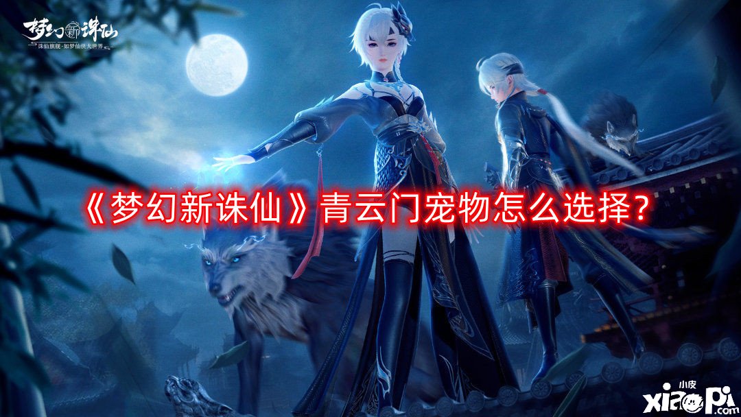 《梦幻新诛仙》青云门宠物怎么选择？青云门宠物选择推荐