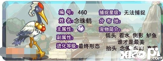 《洛克王国》念珠鹤技术表图鉴，念珠鹤怎么样/锋利吗？