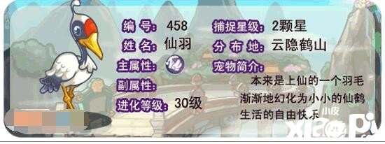 《洛克王国》仙羽技术表图鉴，仙羽怎么样/锋利吗？
