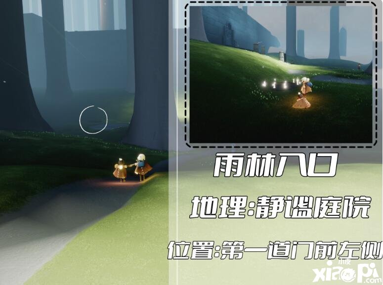 《光遇》雨林冥想位置有哪些？雨林冥想位置一览