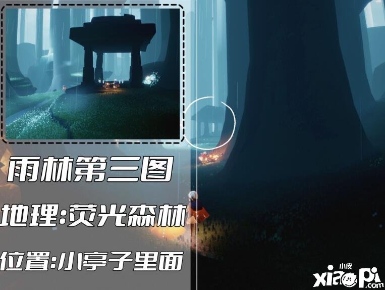 《光遇》雨林冥想位置有哪些？雨林冥想位置一览