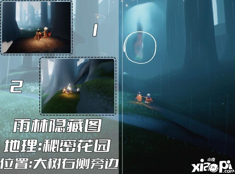 《光遇》雨林冥想位置有哪些？雨林冥想位置一览