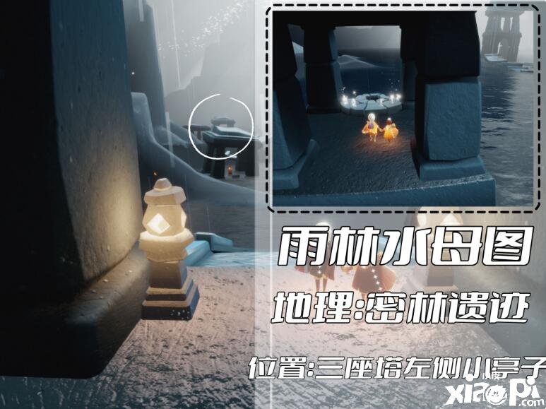 《光遇》雨林冥想位置有哪些？雨林冥想位置一览