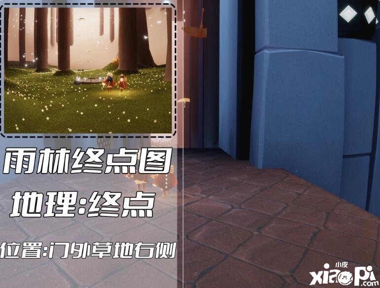 《光遇》雨林冥想位置有哪些？雨林冥想位置一览