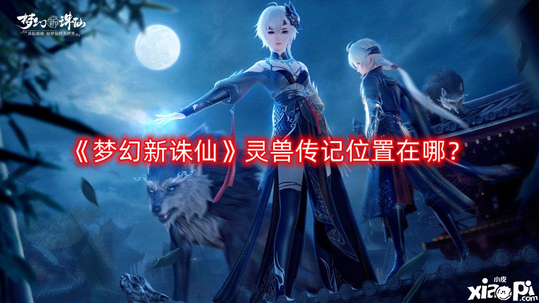 《梦幻新诛仙》灵兽传记位置在哪？灵兽传记位置分享