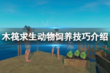 不过坚强的玩家不会气馁