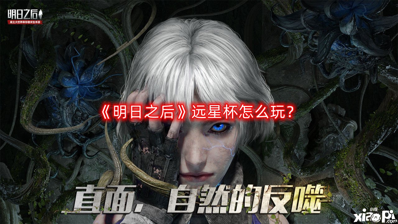 《嫡之后》远星杯怎么玩？远星杯玩法攻略
