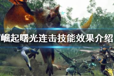 其中有一样叫连击的装备技能