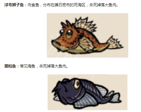 游侠网5