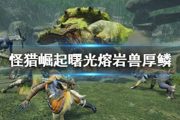 以上就是怪物猎人崛起曙光狩猎笛音波流配装介绍