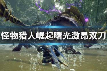 期间不能从苍卷换回朱卷