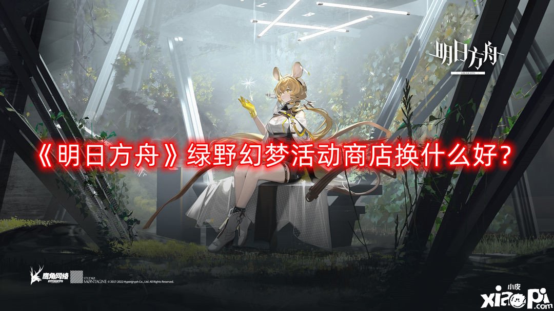 《嫡方舟》绿野幻境勾当商店换什么好？绿野幻境勾当商店性价比阐明