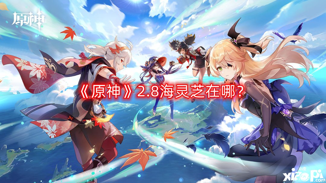 《原神》2.8海灵芝在哪？2.8海灵芝收罗蹊径汇总2022