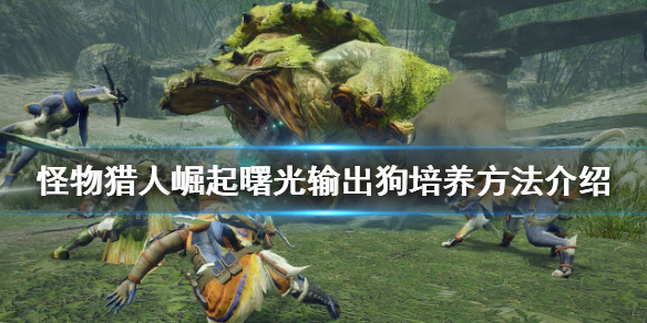 游侠网1