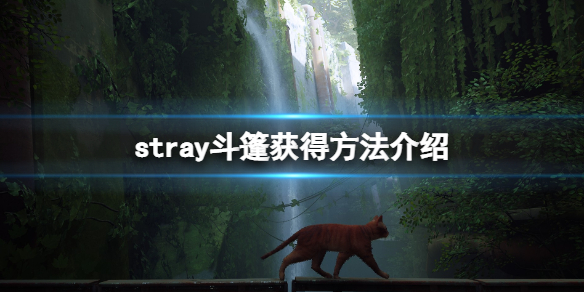 游侠网1
