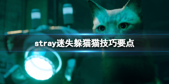 游侠网1