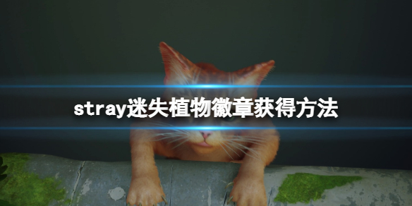 游侠网1