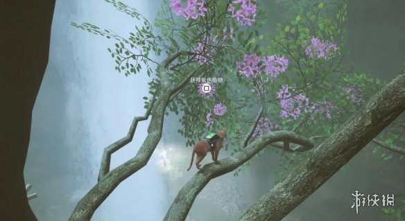 游侠网9