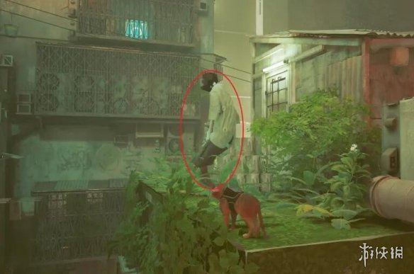 游侠网5
