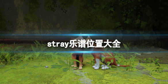 游侠网1