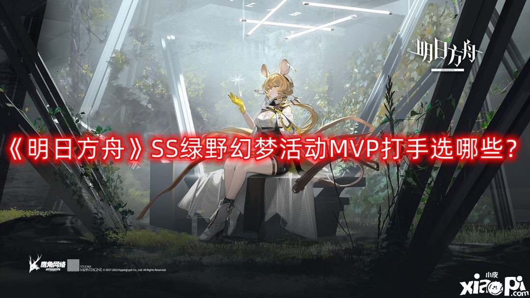 《嫡方舟》SS绿野幻境勾当MVP打手选哪些？SS绿野幻境勾当MVP打手推荐