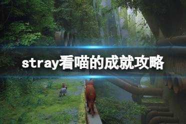 关于stray看喵的成就攻略为大家分享完毕
