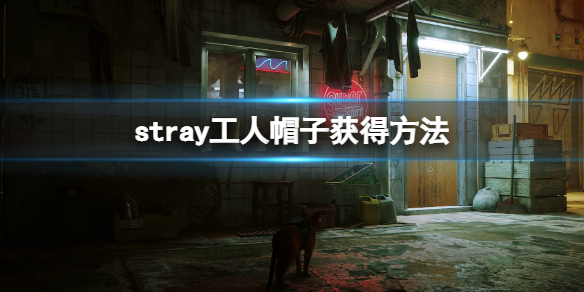 游侠网1