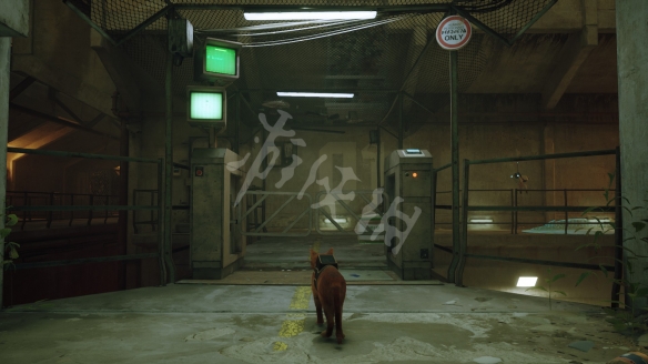 游侠网3