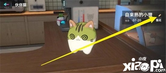 《猫之城》怎么更名？猫之城更名要领先容