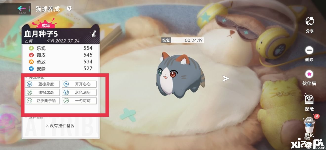 《猫之城》主题猫词条怎么选择？主题猫词条选择推荐