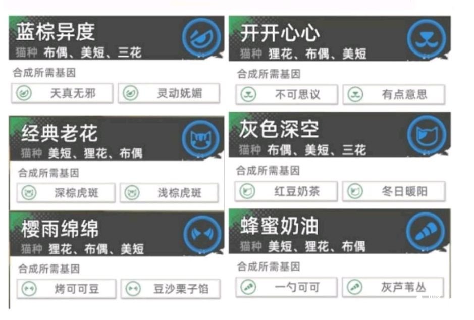 《猫之城》主题猫词条怎么选择？主题猫词条选择推荐