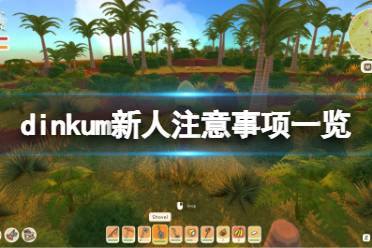 今天小编给大家带来dinkum新人注意事项一览