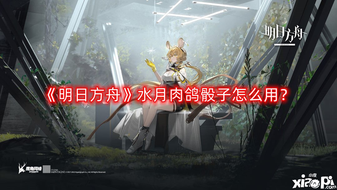 《嫡方舟》水月肉鸽骰子怎么用？水月肉鸽骰子利用要领