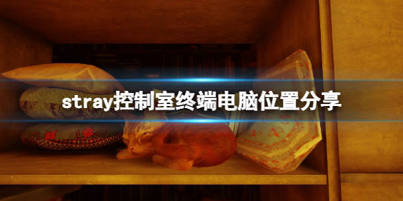 游侠网1
