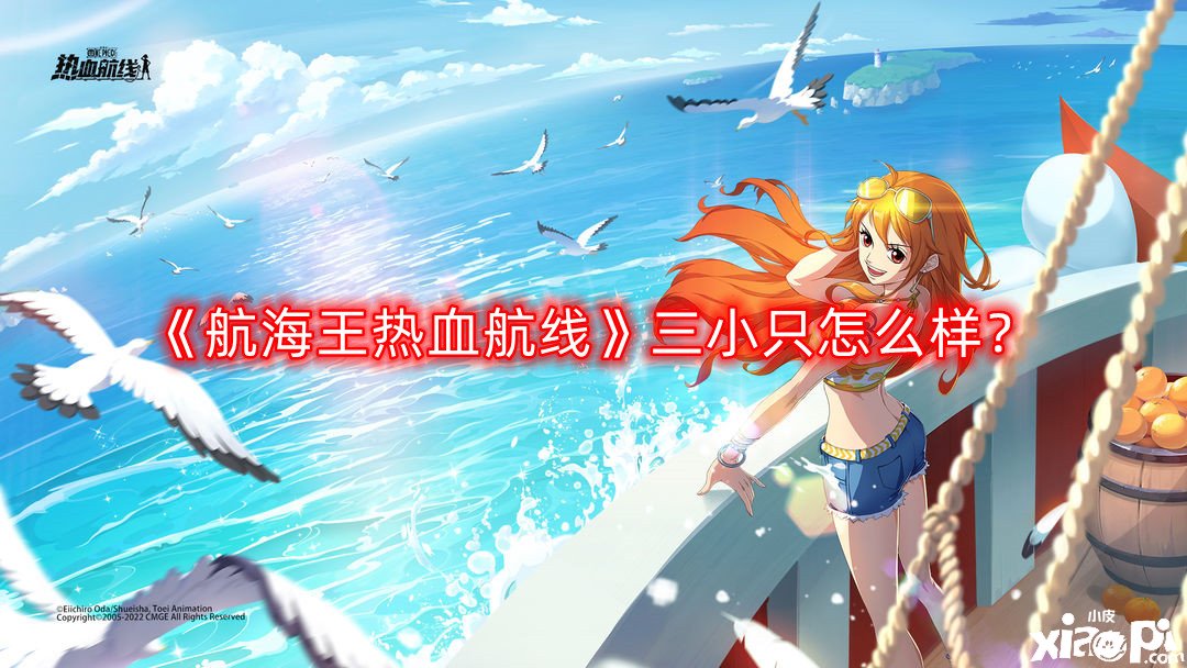 《帆海王热血航线》三小只怎么样？三小只技术先容