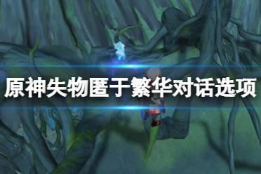 这里给将给大家分享的是原神失物匿于繁华对话选项一览