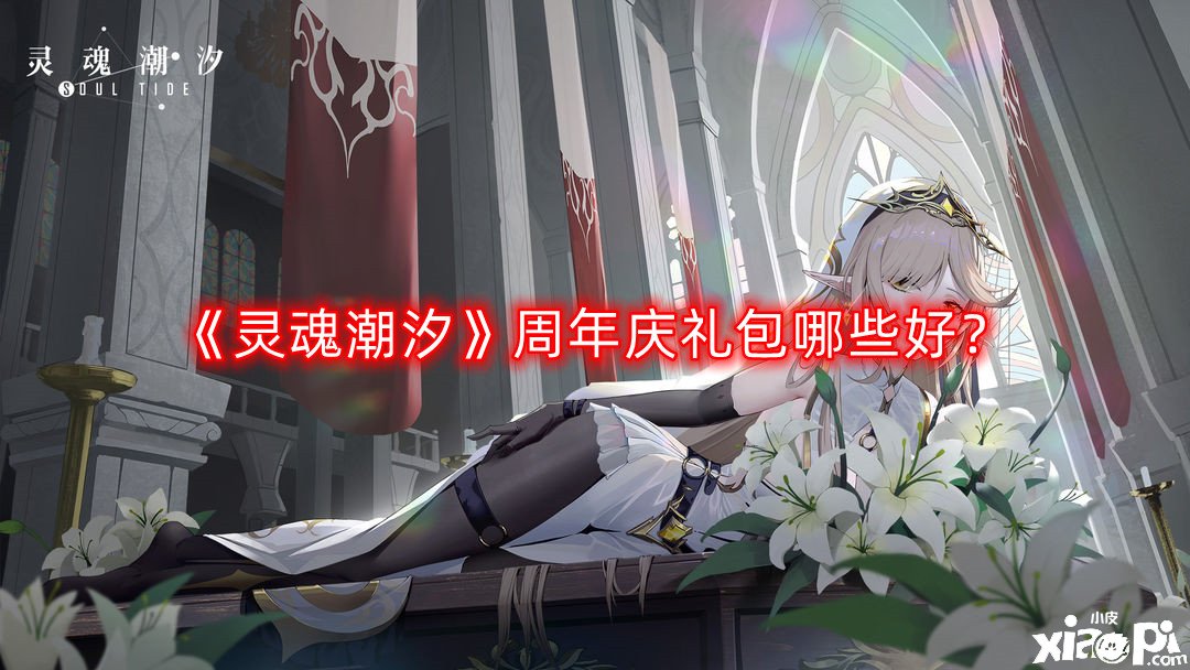 《魂灵潮汐》周年庆礼包哪些好？周年庆礼包选择推荐