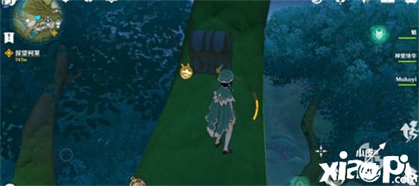 《原神》须弥主城宝箱在那边？须弥主城宝箱位置先容