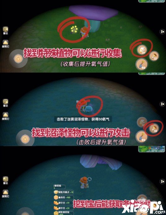 《摩尔庄园》迷雾沼泽探险怎么玩？迷雾沼泽探险玩法攻略