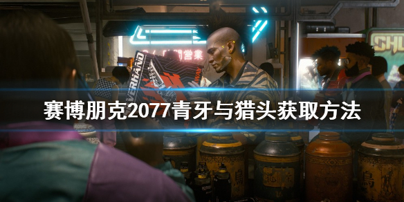 游侠网1