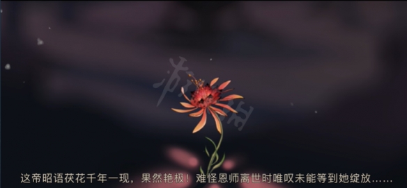 游侠网6